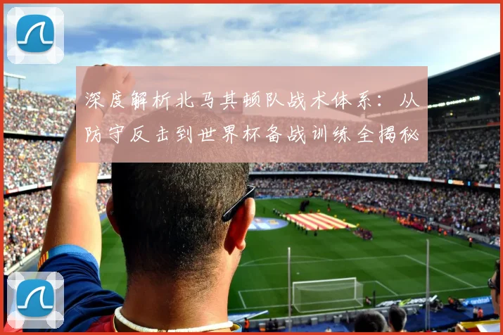 深度解析北马其顿队战术体系：从防守反击到世界杯备战训练全揭秘